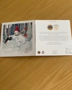 BTL Christmas Cards - Christmas Skating