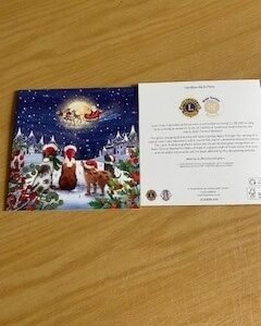 BTL Christmas Cards - Goodbye Santa Paws