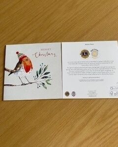 BTL Christmas Cards - Bobbin Robin