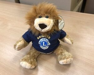 Toy Lion with Personalised T-Shirt