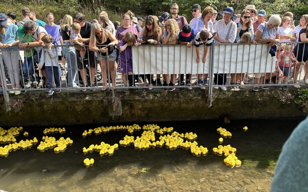 Cheddar Vale Lions go Quackers in Annual Charity Duck Race